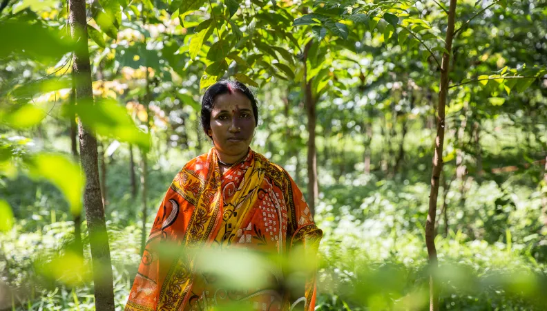 Femme, Assam, nature, biodiversité, Inde