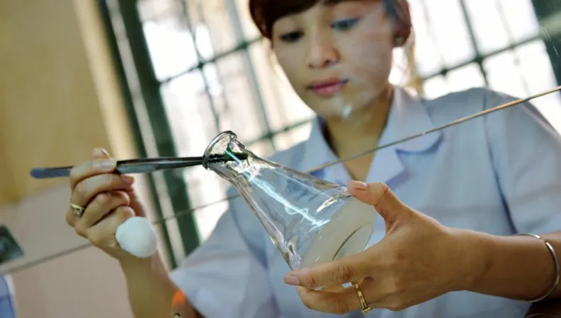 Lutter contre les maladies émergentes au Cambodge, au Laos, au Myanmar et au Vietnam