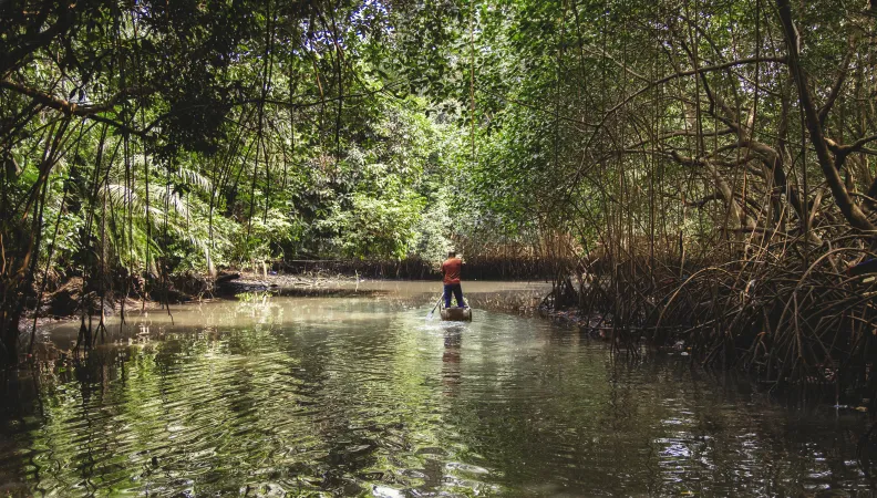 Contrôler l’aménagement durable de la forêt gabonaise