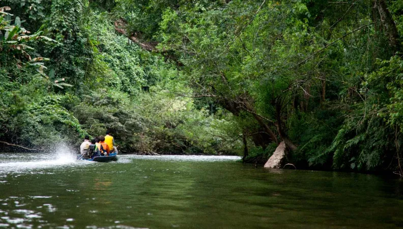 Laos : les efforts pour préserver la biodiversité se poursuivent 