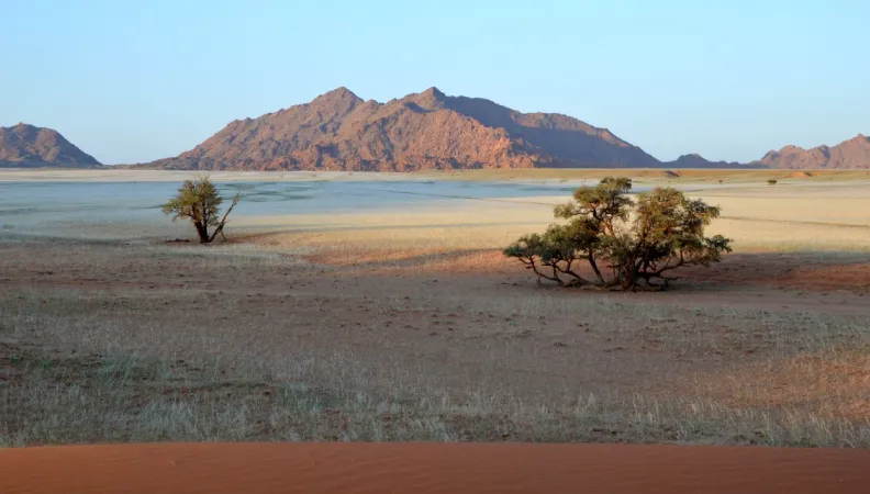 Dune Elim en Namibie