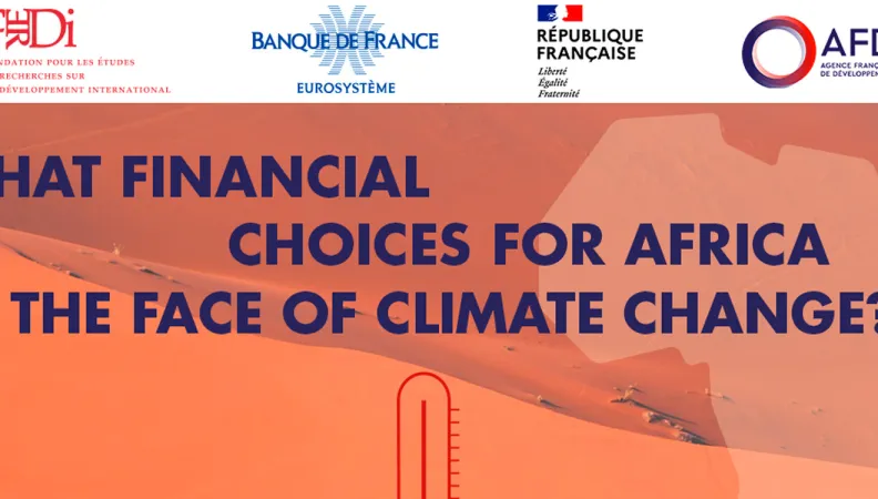 Banque de France-Ferdi–AFD Conference: What financial choices for Africa in the face of climate change? 