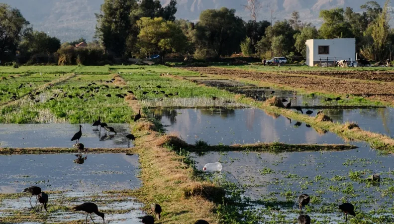 eau gestion ressource assainissement Bolivie Amérique latine