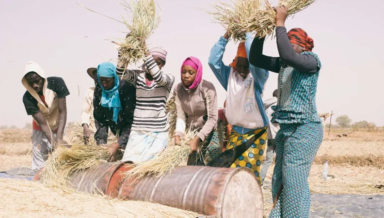 APCC Appui aux femmes de Diffa : autonomisation des femmes, zones de crise et conflits