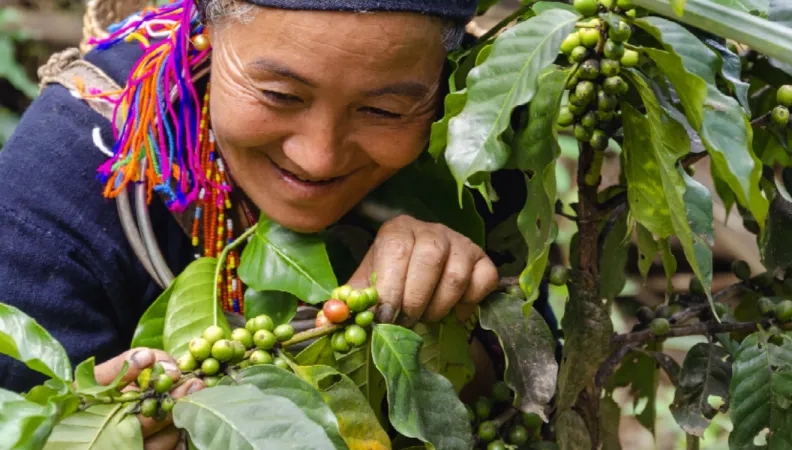 Laos culture café