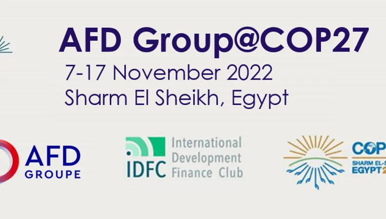 COP27: The AFD Group Program