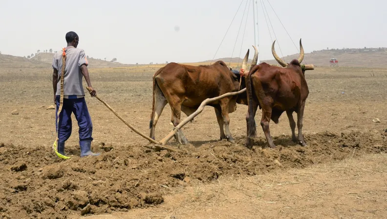 Un agriculteur en Éthiopie