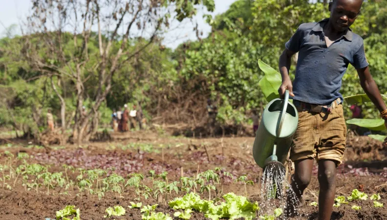 Agriculture RCA