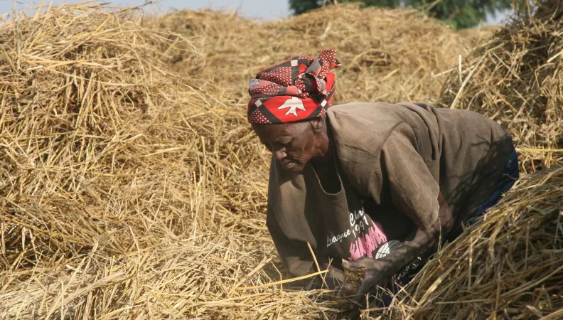 Crise alimentaire en Afrique de l'Ouest