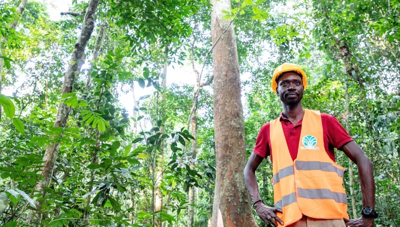 Gabon forêts gestion durable