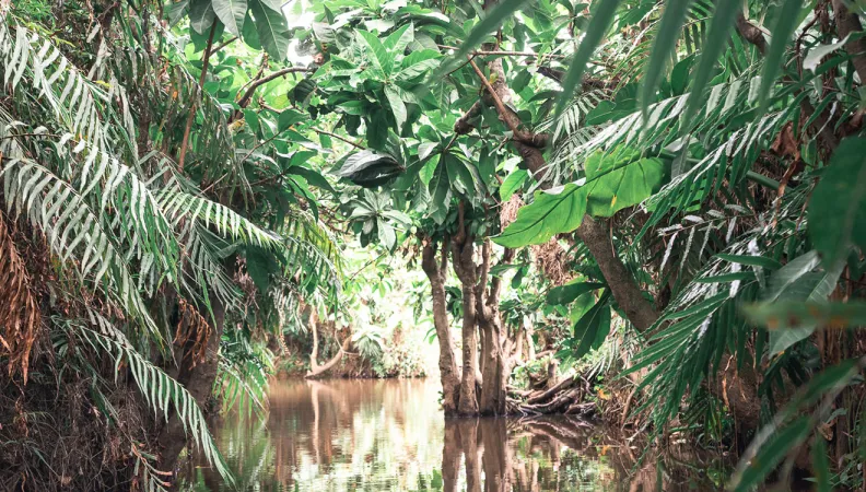 L'AFD soutien ce projet d'adaptation aux changements climatiques fondée sur les écosystèmes naturels