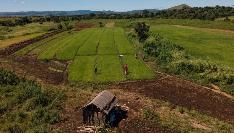 Madagascar