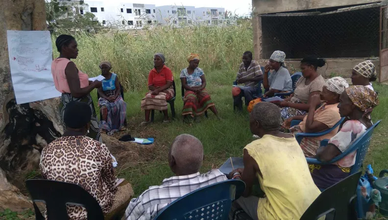 The project arises from the need to continue strengthening the agro-ecology value chain in the cities of Maputo and Nampula, Mozambique