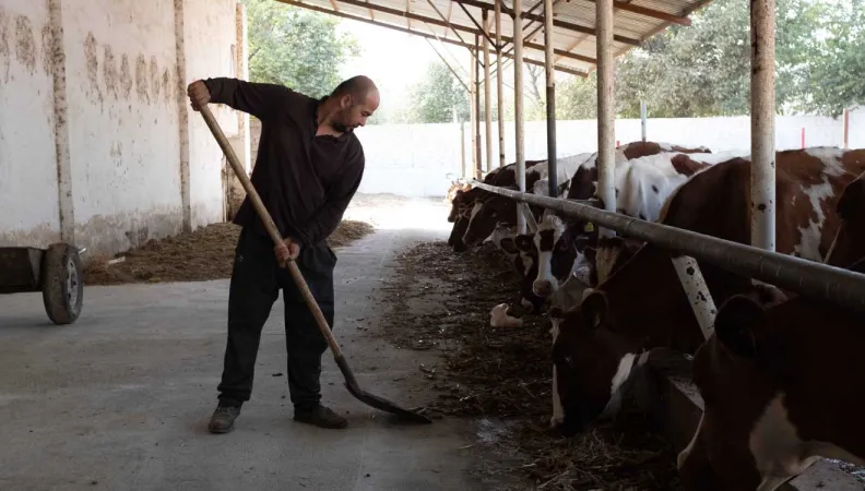Ce projet vise à financer les acteurs des filières agricoles grâce à une sélection d’instruments encourageant les investissements à bénéfice climat et l’inclusion des petits agriculteurs en Ouzbekistan.