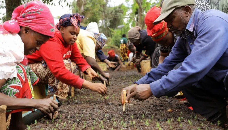 Au Kenya, les forêts d'Aberdares et de Mau, principales sources d'eau de Nairobi, ont été gravement menacées avant d'être réhabilitées 