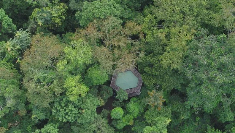 Au Gabon, un Projet d’Appui à la Filière Forêt-Bois (PAFFB)