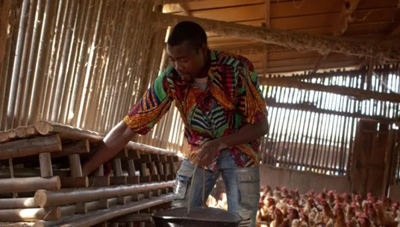 ACEFA – Renforcer la productivité du secteur agricole au Cameroun