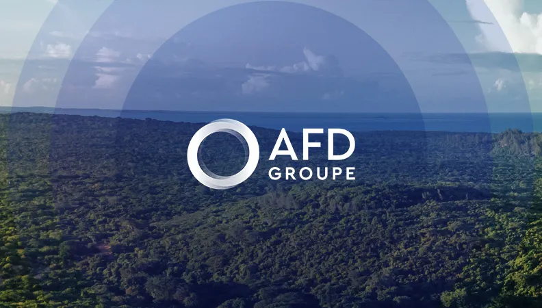 Logo du groupe AFD