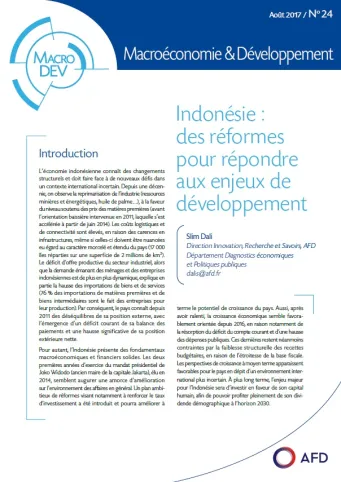 Macrodev  N°24 Indonésie Couverture