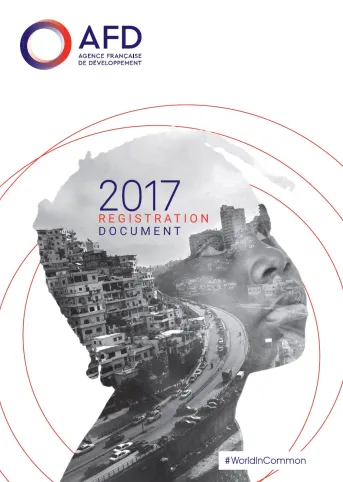 2017 Registration Document