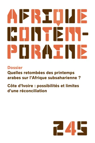 Quelles retombées des printemps arabes sur l'Afrique subsaharienne ?
