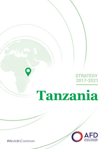 Strategy Tanzania
