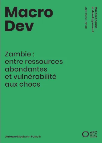 zambie-ressources-abondantes-vulnerabilité-chocs