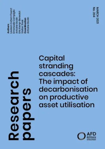 Capital stranding cascades_couv1