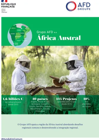 Grupo AFD na África Austral