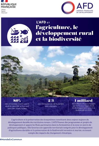 L'AFD, l'agriculture, le développement rural et la biodiversité