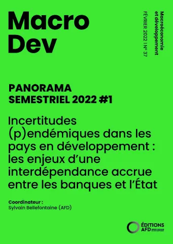 MacroDev 37