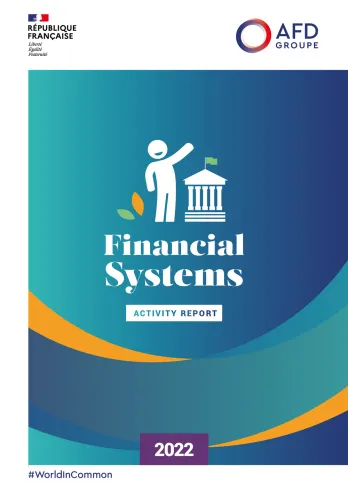 2022 Financial Systems activity report