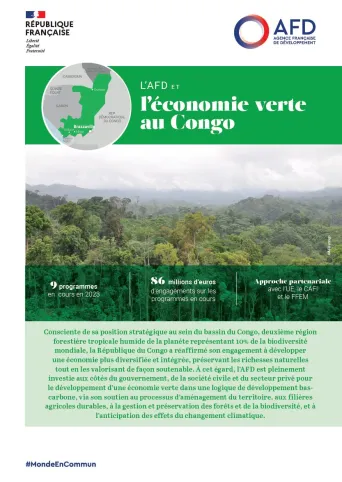 afd economie verte congo