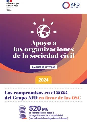Infografía - Apoyo a las organizaciones de la sociedad civil 2024