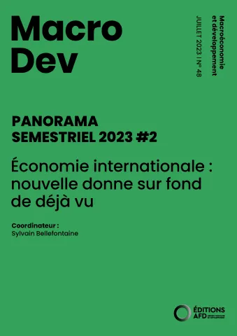 MacroDev Panorama#2 2023 VF 
