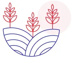 Agriculture et développement rural