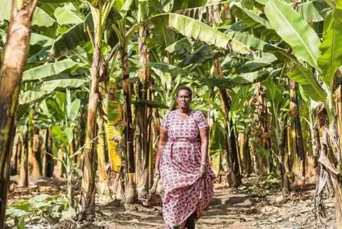 Le genre dans l’adaptation au changement climatique