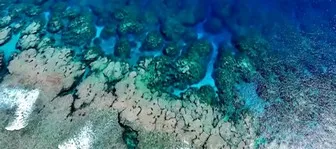 Mer de Corail